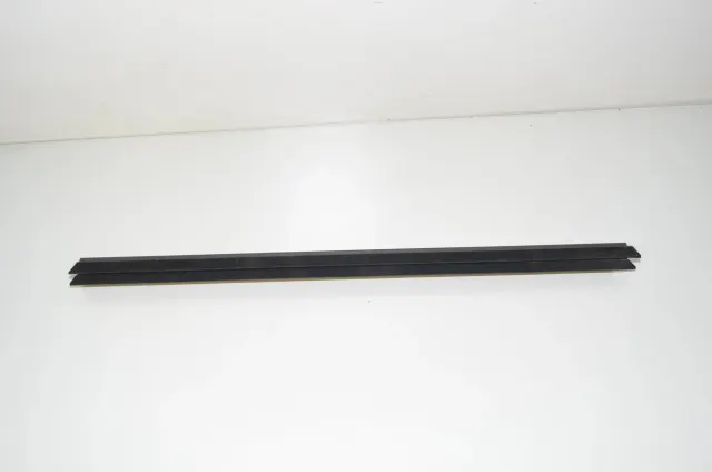 Rear Left Door Window Strip