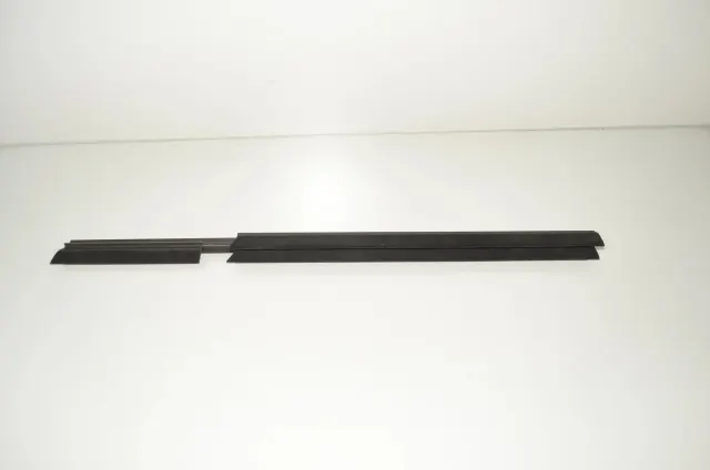 Rear Left Door Window Strip