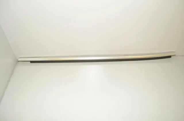 Rear Left Door Window Strip