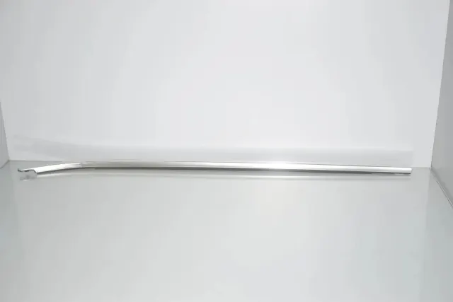 Front Left Door Window Strip