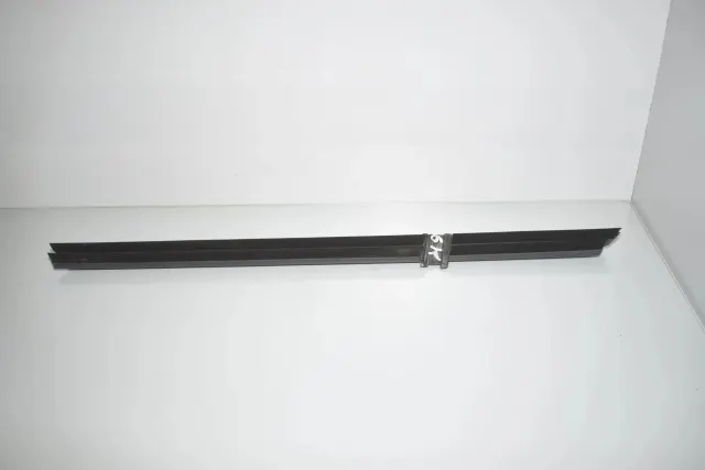 Rear Left Door Window Strip
