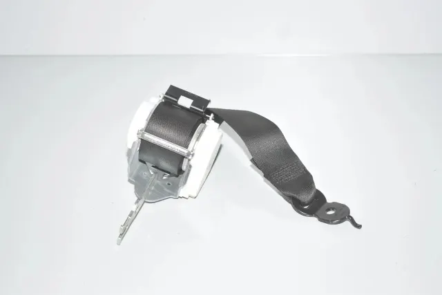 Rear Right Seatbelt