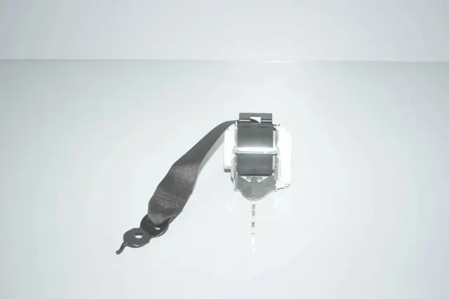 Rear Left Seatbelt