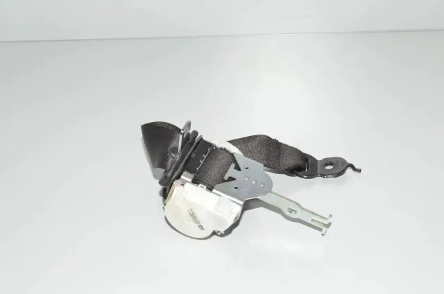 Rear Right Seatbelt