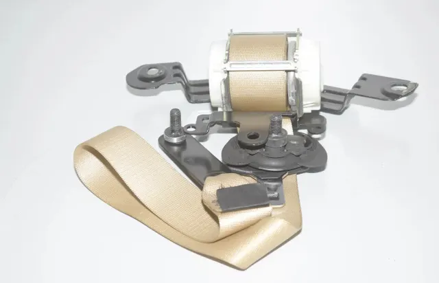 Rear Right Seatbelt