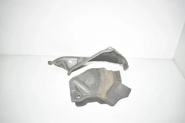 Other Body Parts
