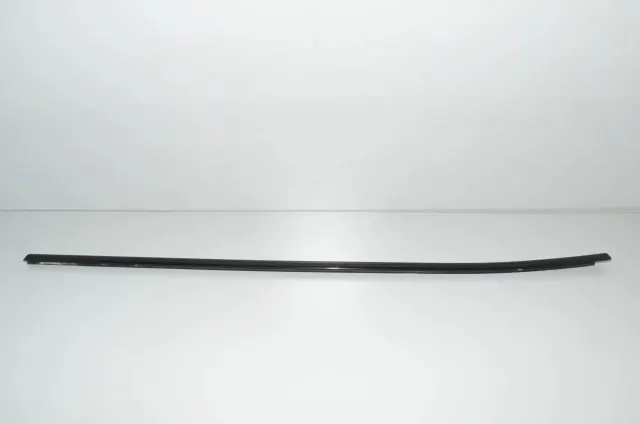 Rear Left Door Window Strip