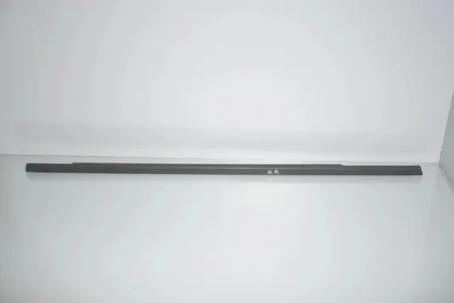 Rear Left Door Window Strip