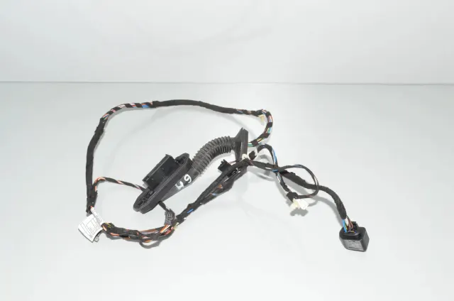 Rear Left Door Wiring