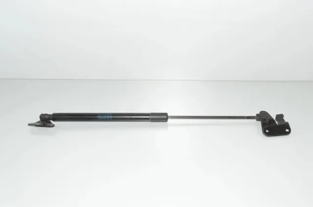 Left Side Tailgate Gas Strut