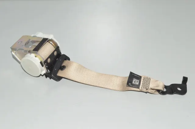 Rear Right Seatbelt