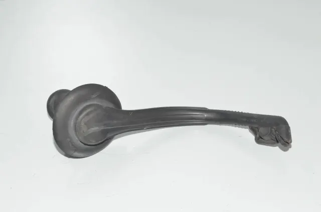 Other Body Parts