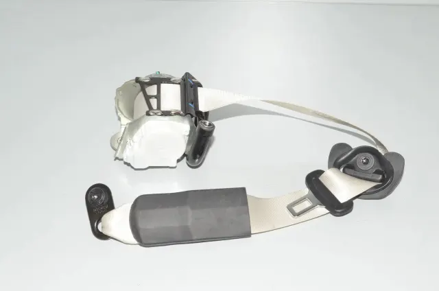 Rear Left Seatbelt