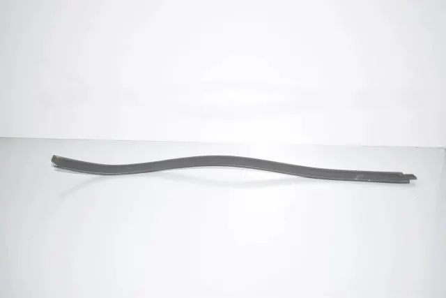 Rear Left Door Window Strip