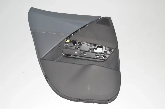 Rear Left Door Panel