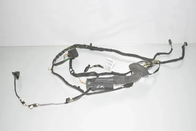 Rear Left Door Wiring