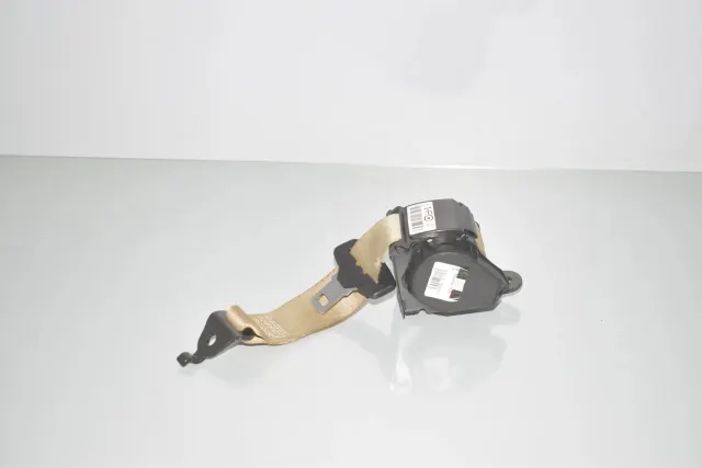 Rear Middle Seatbelt
