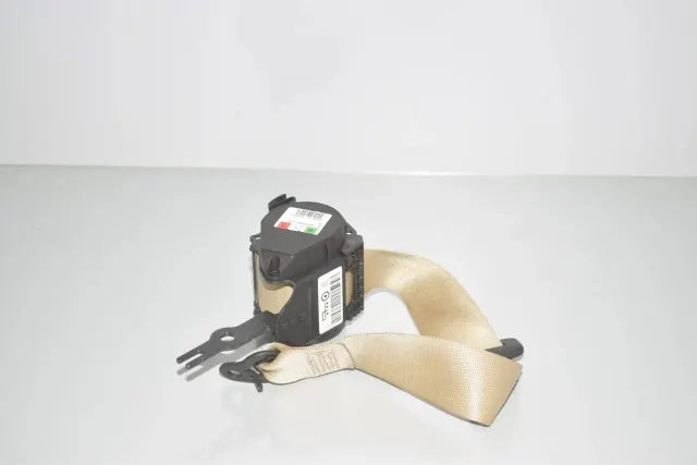 Rear Right Seatbelt