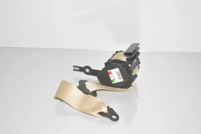 Rear Left Seatbelt