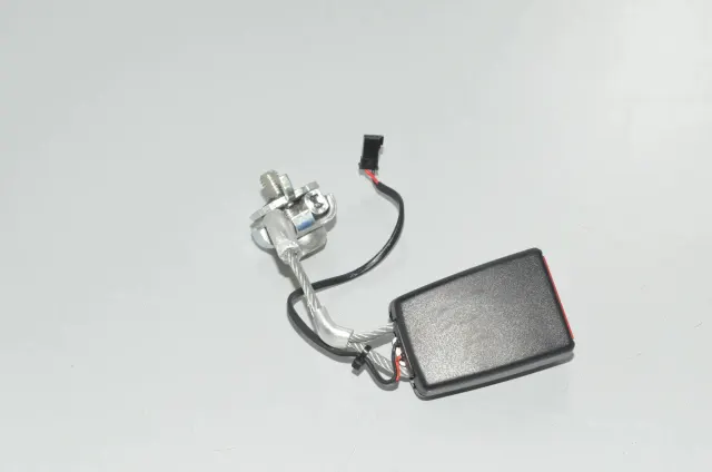 Rear Left Seat Buckle