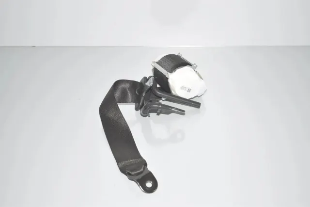 Rear Right Seatbelt