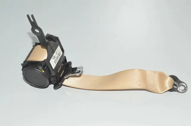 Rear Left Seatbelt