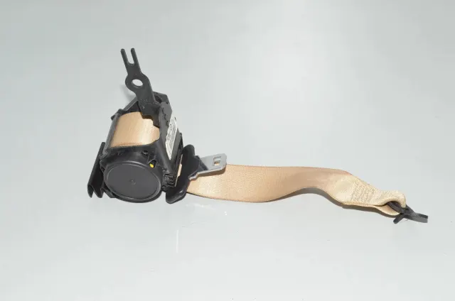 Rear Right Seatbelt