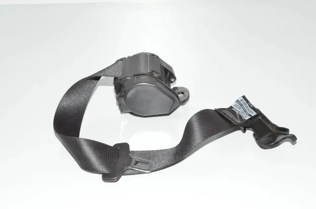 Rear Left Seatbelt