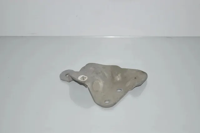 Other Body Parts