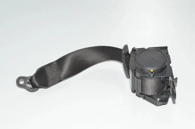 Rear Left Seatbelt