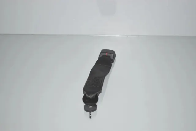 Rear Middle Seat Buckle