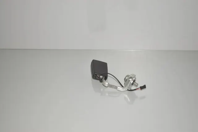 Rear Left Seat Buckle