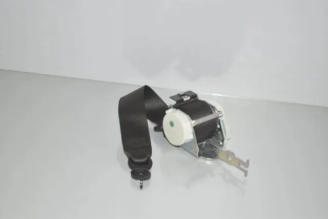 Rear Left Seatbelt
