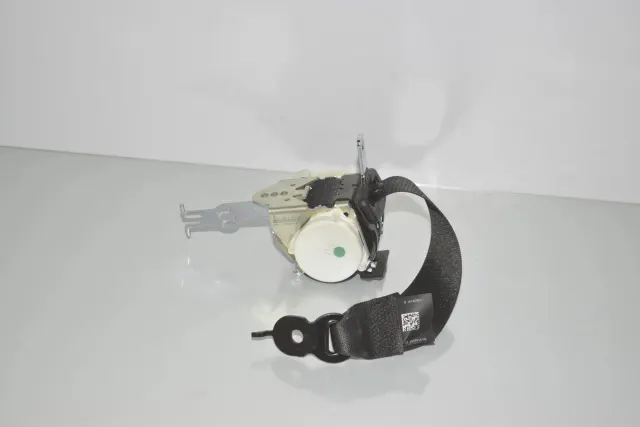 Rear Right Seatbelt