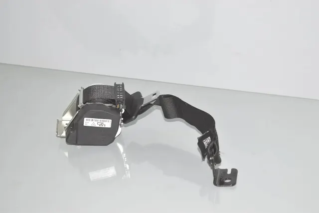 Rear Left Seatbelt