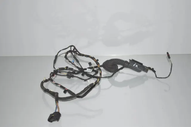 Rear Left Door Wiring