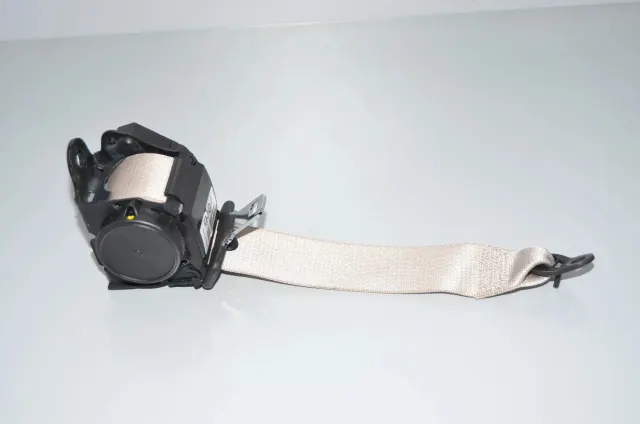 Rear Right Seatbelt