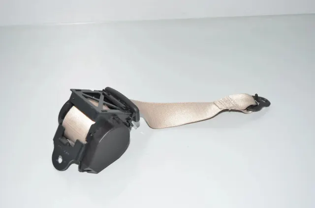 Rear Left Seatbelt