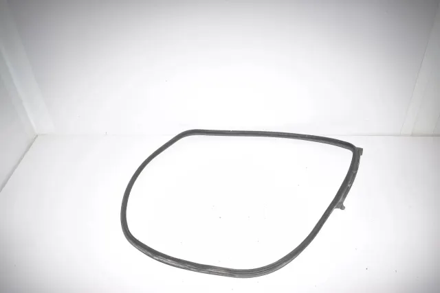 Rear Left Door Seal Rubber