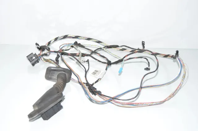 Rear Left Door Wiring