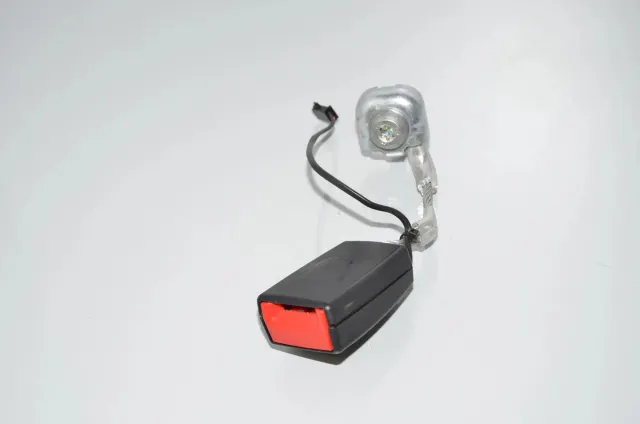 Rear Left Seat Buckle