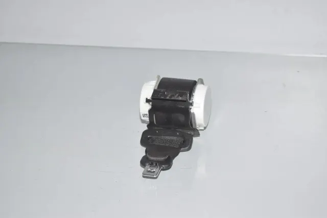 Rear Middle Seatbelt