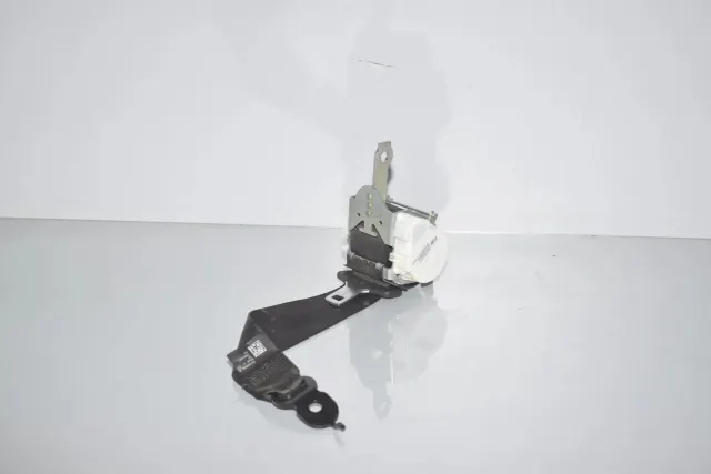 Rear Left Seatbelt