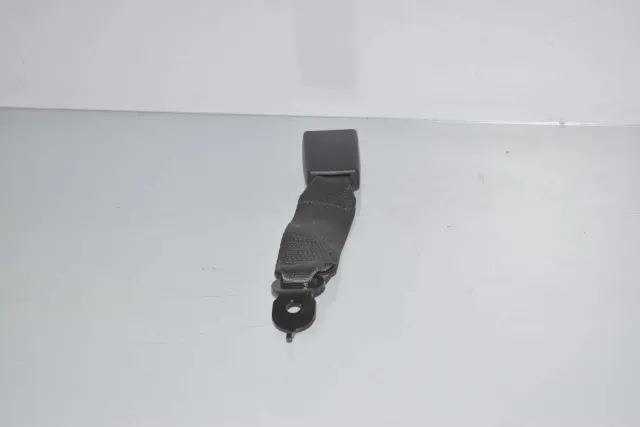 Rear Middle Seat Buckle