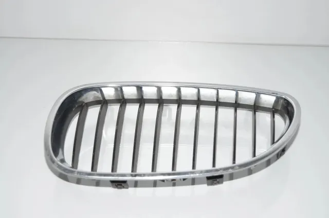 Front Left Grill