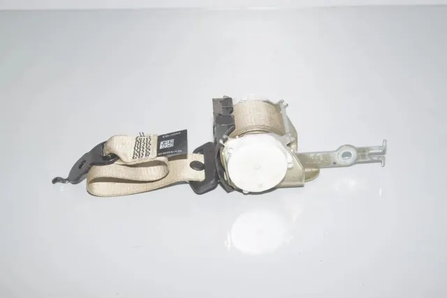 Rear Left Seatbelt
