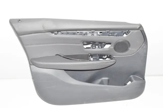 Front Left Door Panel