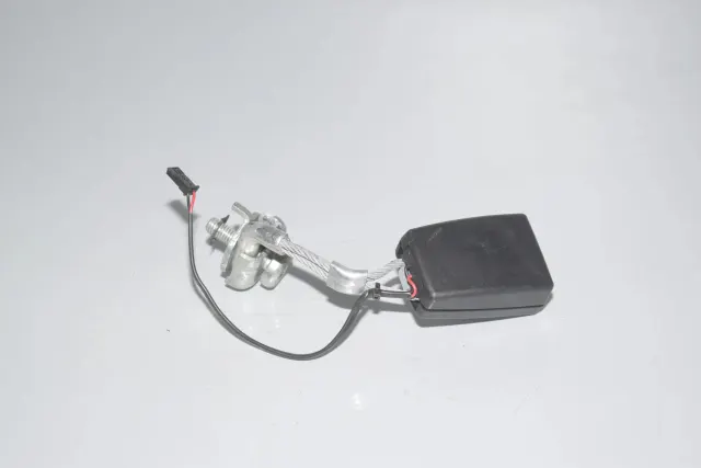 Rear Left Seat Buckle