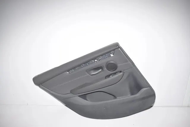 Rear Left Door Panel