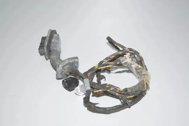 Rear Left Door Wiring